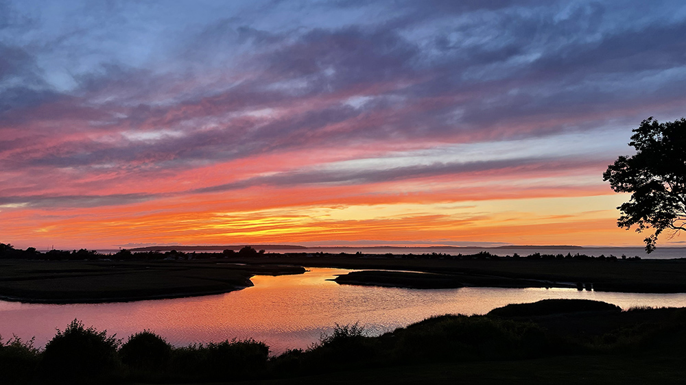 davis creek july 2025